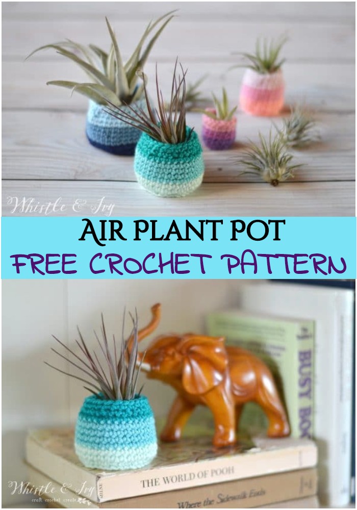 Crochet Air Plant Pot