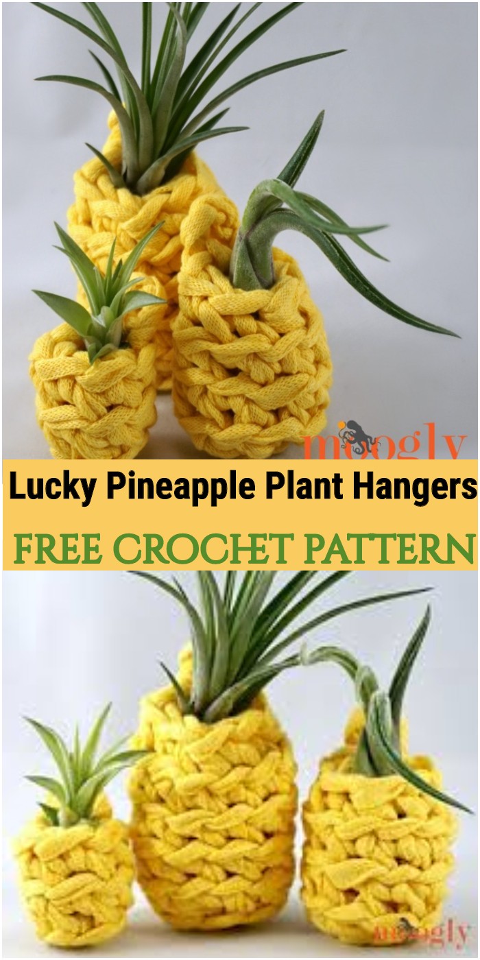 Crochet Lucky Pineapple Plant Hangers