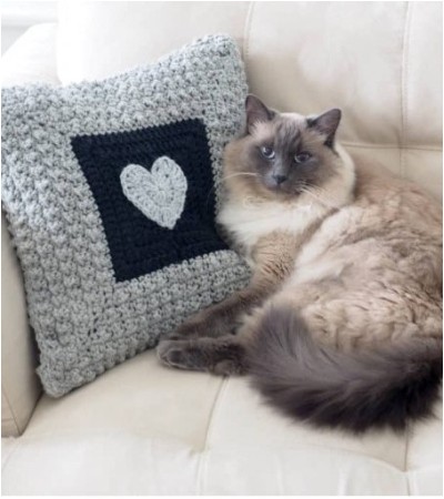 Wonderful Crochet Pillow Patterns