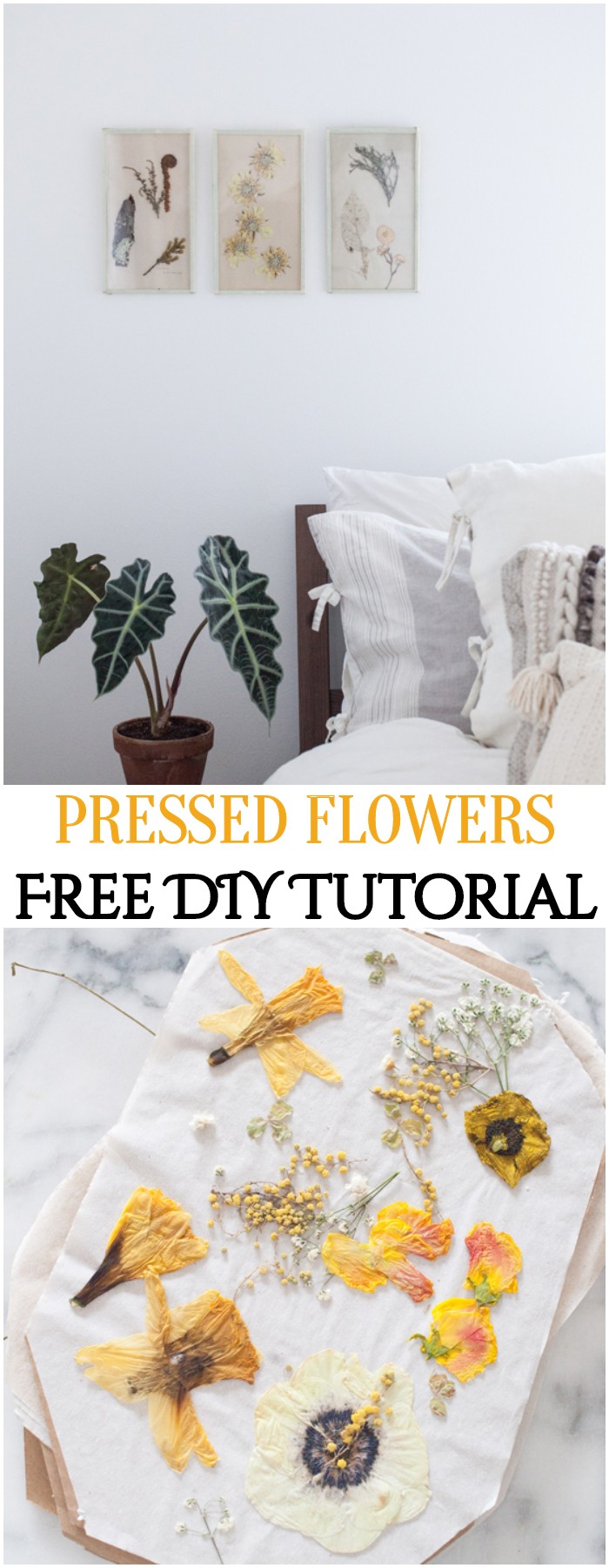 DIY Pressed Flowers