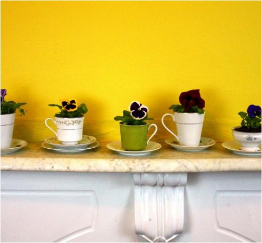 How to Turn Old Teacups and Saucers into Garden Planters