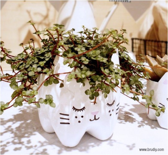 DIY Cat Plantpot
