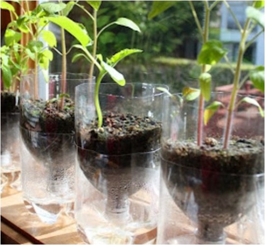 DIY Self-Watering Planters For Starting Seeds