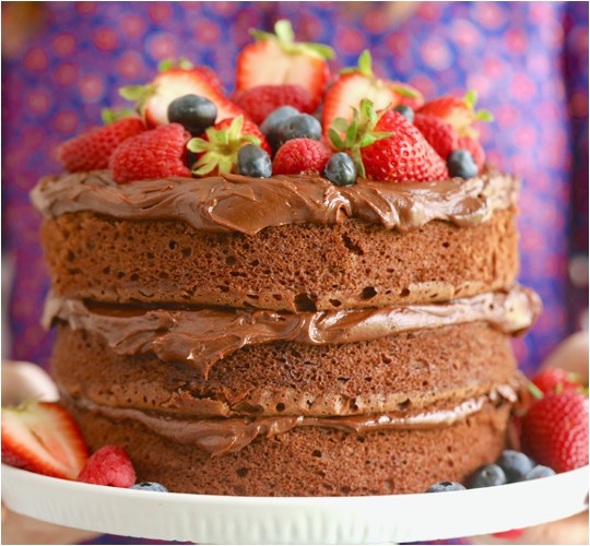 10 Minute Easy Chocolate Cake Recipe