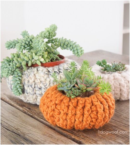 Crochet Succulent Pumpkin Pattern