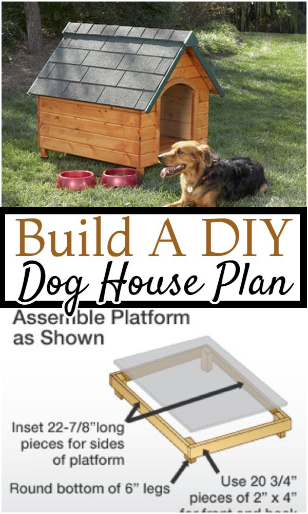Build A DIY Dog House Plan