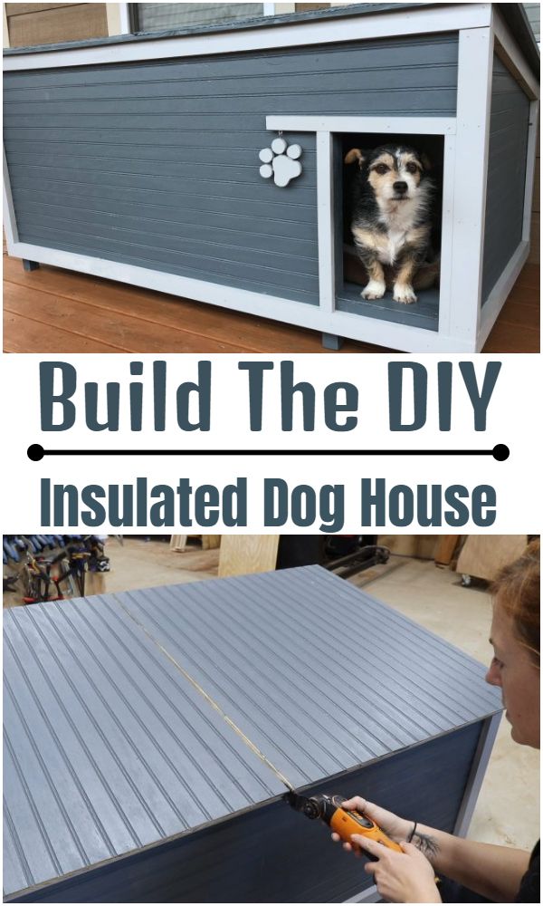 Build The DIY Insulated Dog House