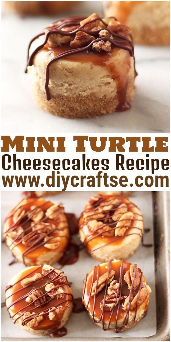 Mini Turtle Cheesecakes Recipe